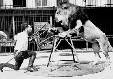 A man and a lion are fighting in an enclosure.